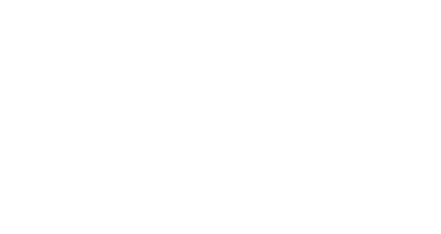 AutoPlus